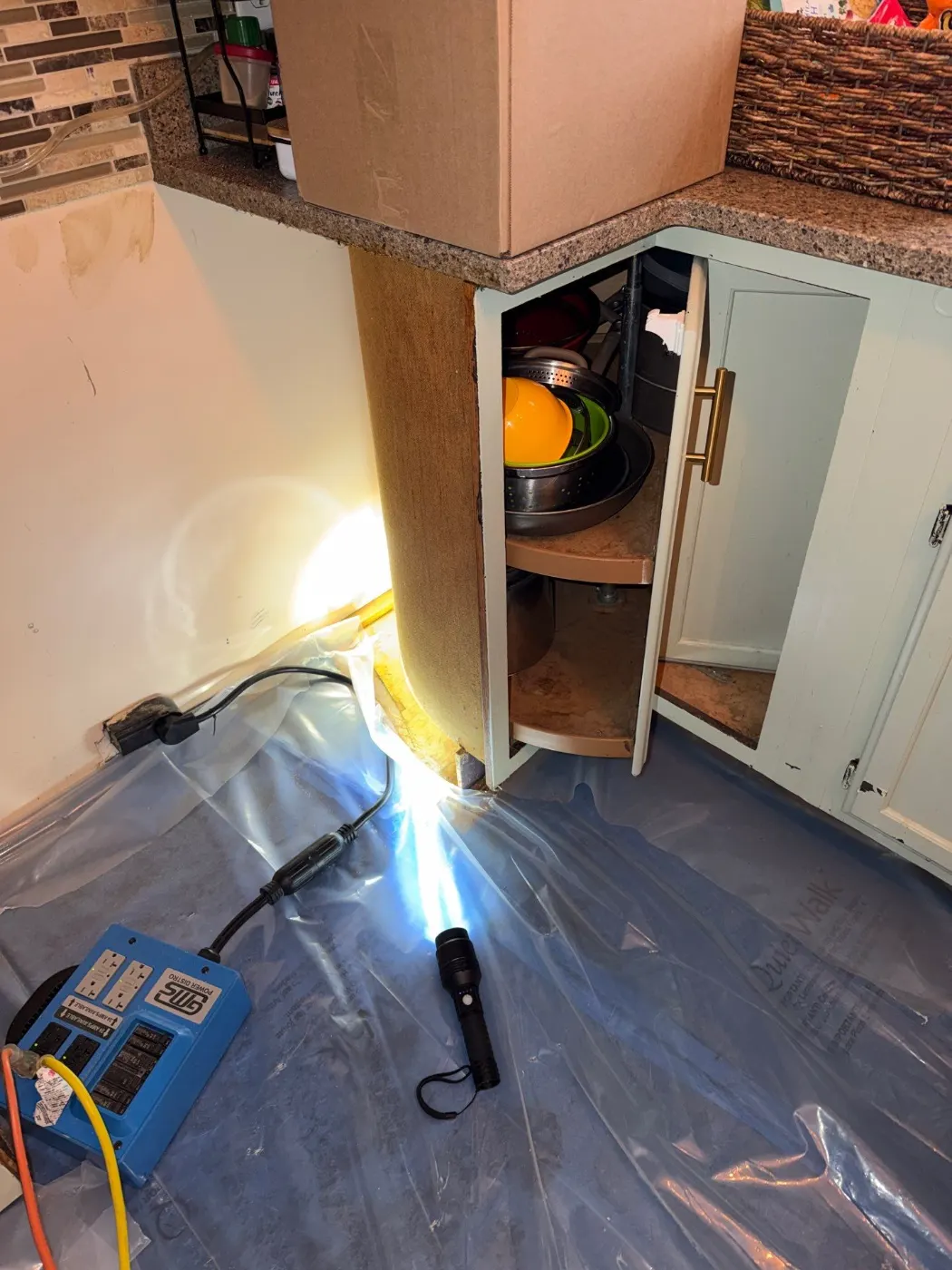 Restoration in Maple Knoll