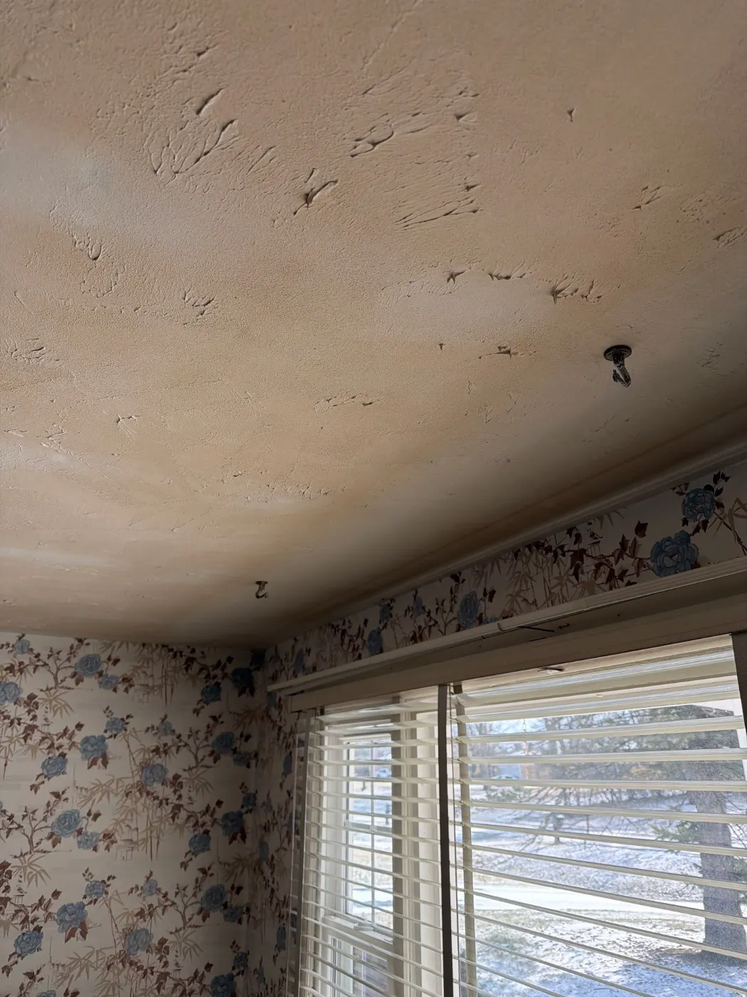 Moisture meter reading on drywall in Maple Knoll water loss